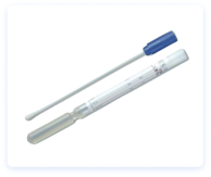 Medio de transporte Amies